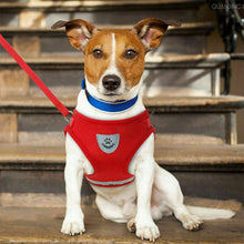 Load image into Gallery viewer, Pet cat harness with leash escape-proof adjustable breathable vest
